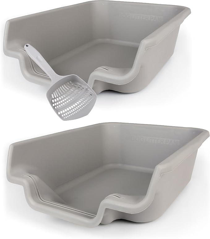 KittyGoHere Senior Cat Litter Box, Jumbo Litter pan with Long-Handle Jumbo Scoop, Open Top Low Entrance Kitty Litter Box, Lightweight Low Entry Litters Box, Durable, Made in USA (2 Pack - Misty Gray)