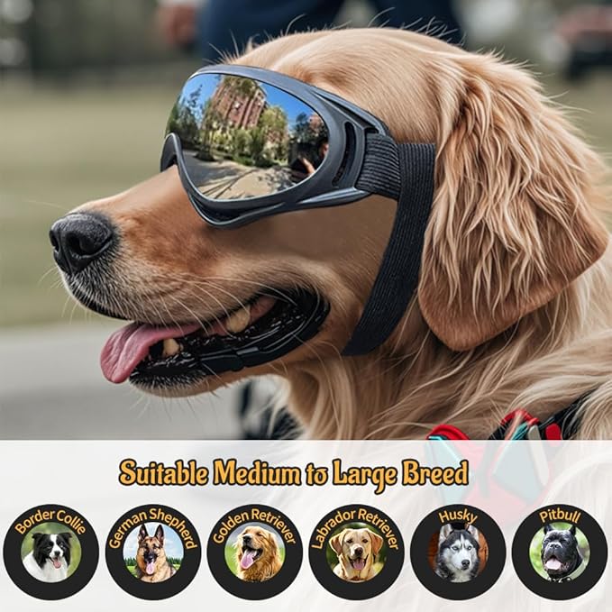 2 PCS Dog Goggles, Dog Sunglasses for Medium & Large Breed, Anti-UV Eye Protection Pet Glasses for Outdoor Hiking (Silver and Clear)