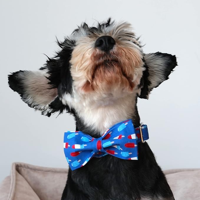 Lionet Paws Patriotic Dog Collar with Bowtie, 4th of July, Soft and Comfortable Adjustable Summer Popsicle Bowtie Collar for Dogs Male Female Gift, Small, Neck 10-16 inches