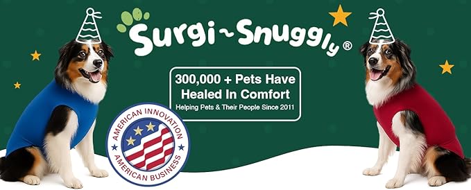 SurgiSnuggly Dog Surgery Recovery Suit for Female Or Male Dogs, Veterinarian Invented Dog Onesie is Better Than A Dog Cone, Custom Milled Fabric is Safe Spay Or Neuter Surgical Recovery Easy XLL PL