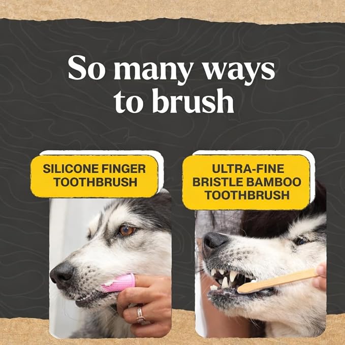 Dr. Oakley Dental Toothbrush Kit for Dogs & Cats - Finger Brush for Small Pets and Soft Brushes for Large or Older Natural and Safe Mint Flavor