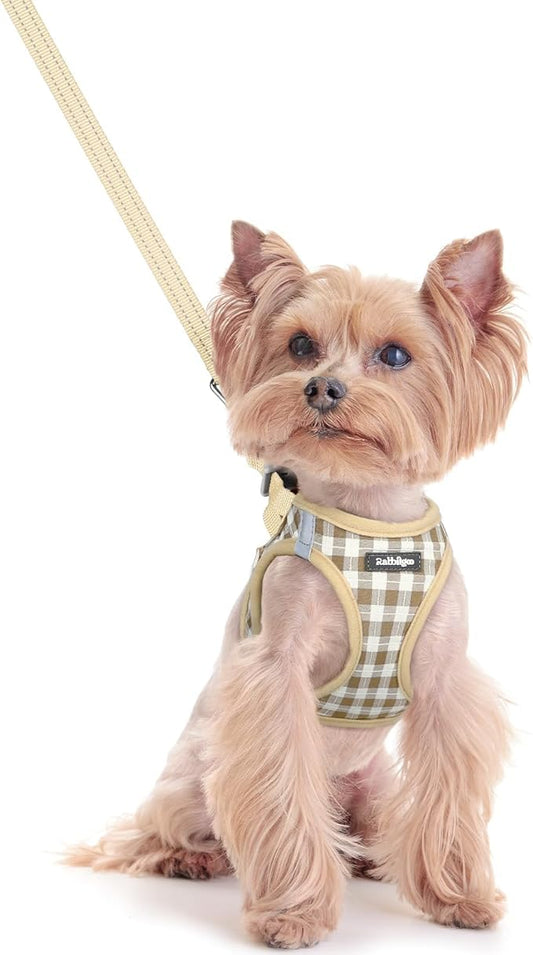 rabbitgoo Dog Harness Small Sized and Leash Set, Step in Soft Light Puppy Vest, Breathable Mesh Pet Harness, Reflective for Safe Easy Walking, Beige Check XXS