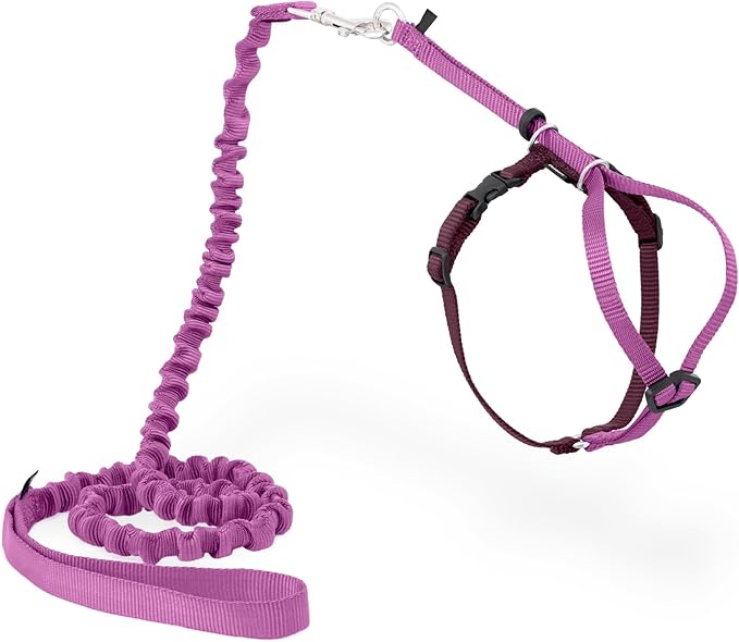 PetSafe Come with Me Kitty Harness and Bungee Leash Adjustable, Lightweight Harness for Cats Medium, Dusty Rose