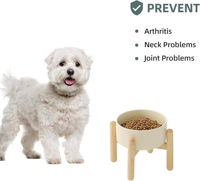Havniva 6.1inch Ceramic Raised Dog Bowl with Stand, Elevated Dog Bowls for Small and Medium Breed Dog Food and Water Bowl Non-Slip Dog Dish Large Capacity Feeding Pet Water Bowl