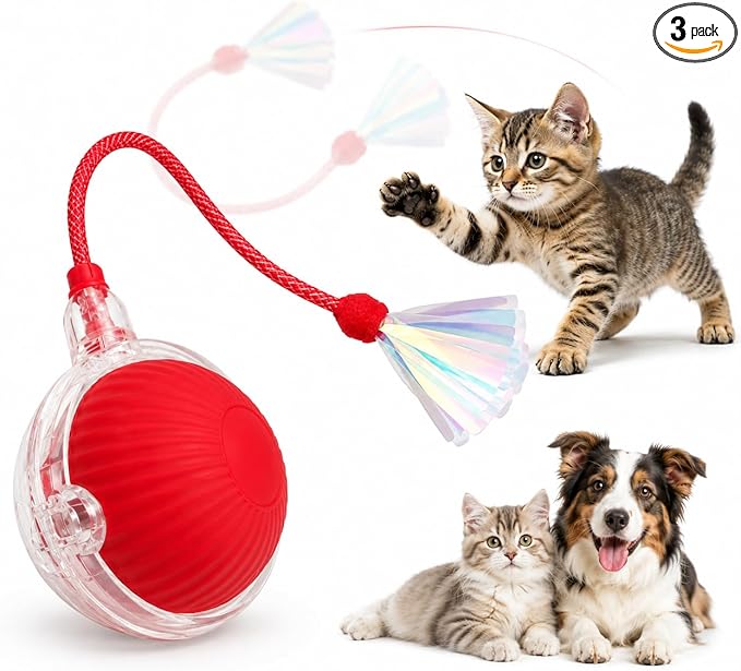 Interactive Cat Toy Ball with LED Lights, USB-C Rechargeable Automatic Cat Toy with Feather Tail, Smart Exercise Toy for Indoor Cats & Kittens, Upgraded Version