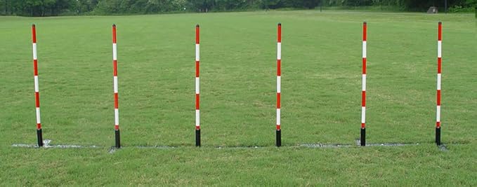 DogSport Dog Agility Weave Poles with Adjustable Spacing (Black)