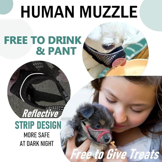 Dog Muzzle for Small Medium Dogs Breathable Adjustable, Chihuahua Shih Tzu Puppy, Soft Air Mesh Muzzle for Grooming Vet Visits, Prevent Biting Fierce Barking (Silver-Blue, M)