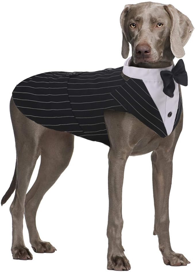 QBLEEV Dog Tuxedo Suit with Bow Tie, Formal Gentleman Dog Tux Costume and Bandana Set for Wedding Outfit Birthday Party Cosplay Photo Shoot, Doggy Prince Attire for Siberian Husky Border Collie