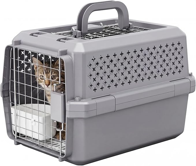 RIZZARI Portable Cat Carrier for Small Cats & Dogs:Secure Hard-Sided Pet Carrier with Ventilation - Metal Door & Carry Handle for Travel - Vet Visits & Daily Use (Gray, X-Small)