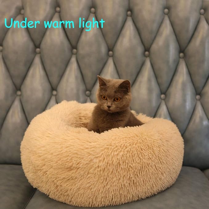 Modern Soft Plush Round Pet Bed for Cats or Small Dogs, Mini Medium Sized Dog Cat Bed Self Warming Autumn Winter Indoor Snooze Sleeping Cozy Kitty Teddy Kennel (24'' D x 8'' H, Champagne)