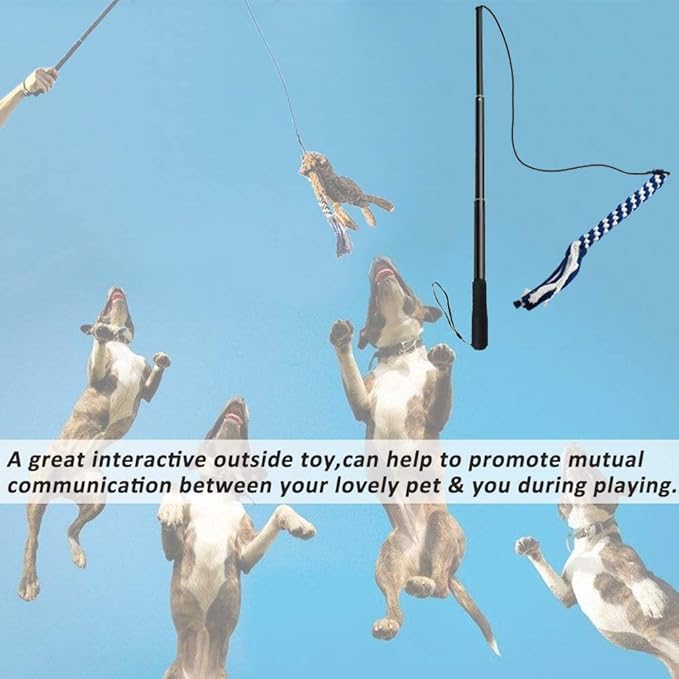 Flirt Pole for Dogs, Interactive Teaser Wand with 1 Fleece Rope Toy for Chase and Tug of War, Durable for Large & Medium Dogs, Outdoor Exercise & Training