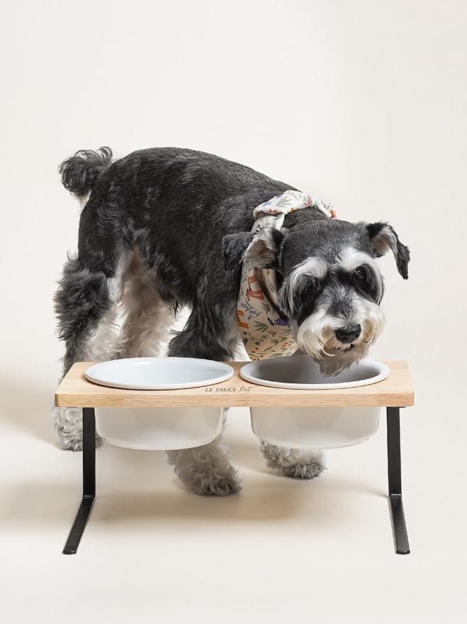 LE TAUCI PET Elevated Dog Bowls, Raised Dog Bowl Stand with Two 6.5 inch Ceramic Bowl, Non-Slip Puppy Food and Water Bowls, Dogs Feeder for Small and Medium Breed, White