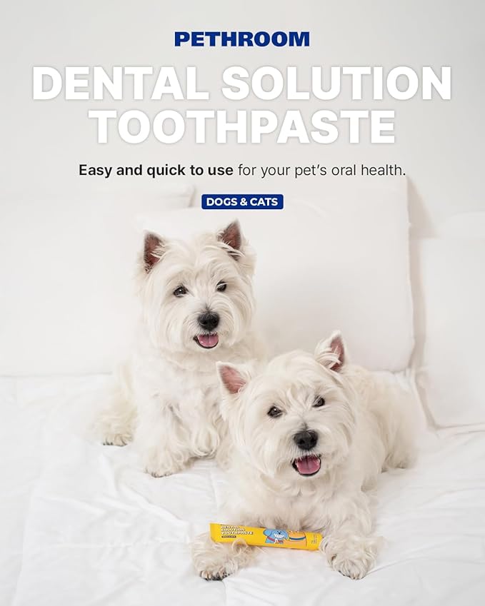 PETHROOM Pet Dental Solution Toothpaste for Dogs & Cats – Melon Flavor, Enzymatic Toothpaste for Fresh Breath & Plaque Control, Gentle Daily Dental Care, Net Wt 2.1 oz