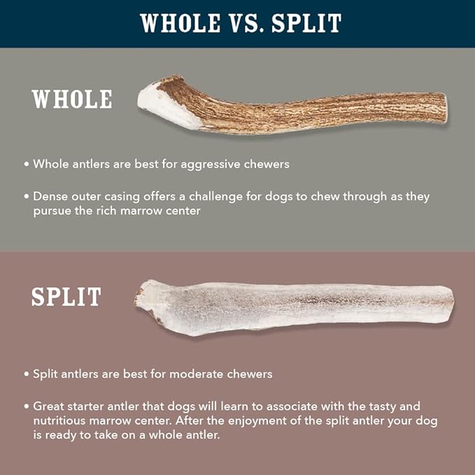 Amazon Brand - Wag Split Elk Antler, Naturally Shed, Long Lasting for Aggressive Chewers, Large (Best for Dogs 30-45 lbs)