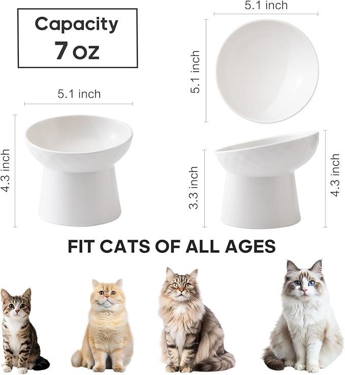 Ceramic Raised Cat Bowls - Elevated Tilted Cat Food and Water Bowls Set, Anti Vomiting and Protect Pets' Spines Pet Feeding Dish for Cats, Dishwasher Microwave Safe (2 x Bowl - White)