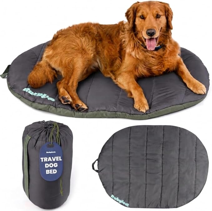 Travel Dog Bed (42" x 30") – Foldable & Packable for Travel, Road Trip, Camping – Lightweight, Water Resistant & Cozy Soft Padding – Compact, Portable & Machine Washable – Medium & Large Breeds: Black