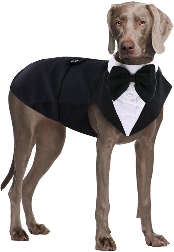 QBLEEV Dog Tuxedo Suit with Bow Tie, Formal Gentleman Dog Tux Costume and Bandana Set for Wedding Outfit Birthday Party Cosplay Photo Shoot, Doggy Prince Attire for Maltese Dachshund Corgi Beagle