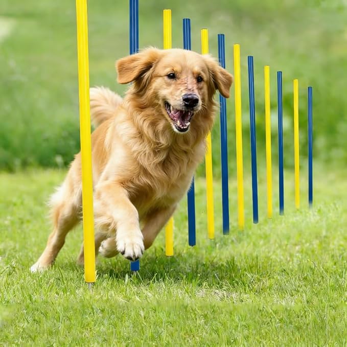 PAWISE Dog Agility Training Equipment,12 Weave Poles for Dogs with Stakes & Carry Bag,Dog Agility Training Set for Outdoor Obstacle Course,Backyard Exercise & Training Equipment for Shepherd Malinois