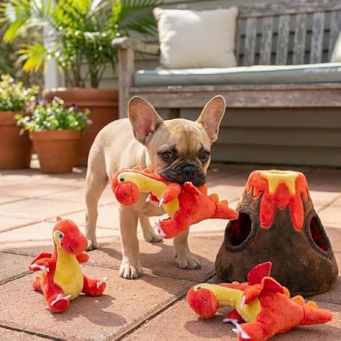 MODERN WAVE - Interactive Squeaky Plush Hide and Seek Squirrel Type Puzzle Toy for Dogs, Medium Size (Volcano and Dragons)