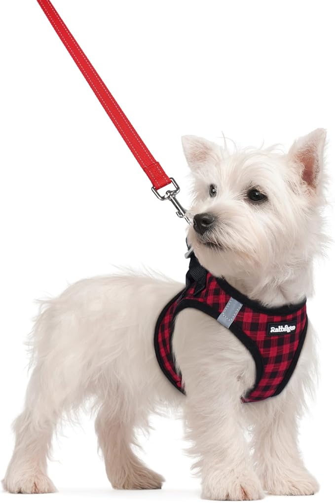 rabbitgoo Dog Harness Small Sized and Leash Set, Step in Soft Light Puppy Vest, Breathable Mesh Pet Harness, Reflective for Safe Easy Walking, Red Plaid S