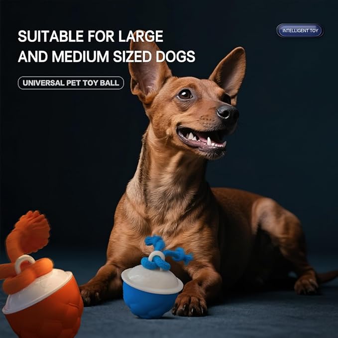 Power Tail 2.0 Pet Toy, Motion Activated Interactive Dog & Cat Toy - Squeaky Active Rolling Ball with Flashing Colorful Lights, Smart Jumping Ball for Small & Medium Pets