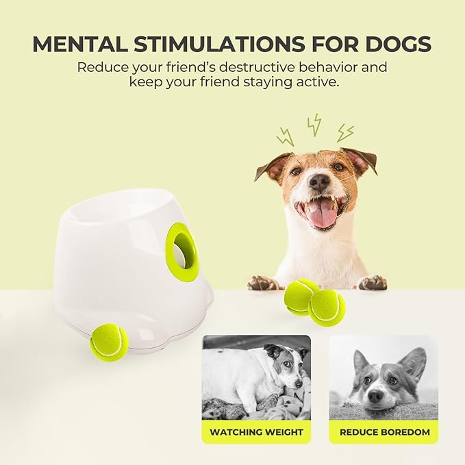 AFP Automatic Ball Launcher for Dogs, USB Rechargeable Interactive Dog Ball Thrower Machine, Auto Fetch Launcher for Small&Medium Dogs, Indoor Outdoor Puppy Play Toy, 3 Tennis Balls Included (2 Inch)