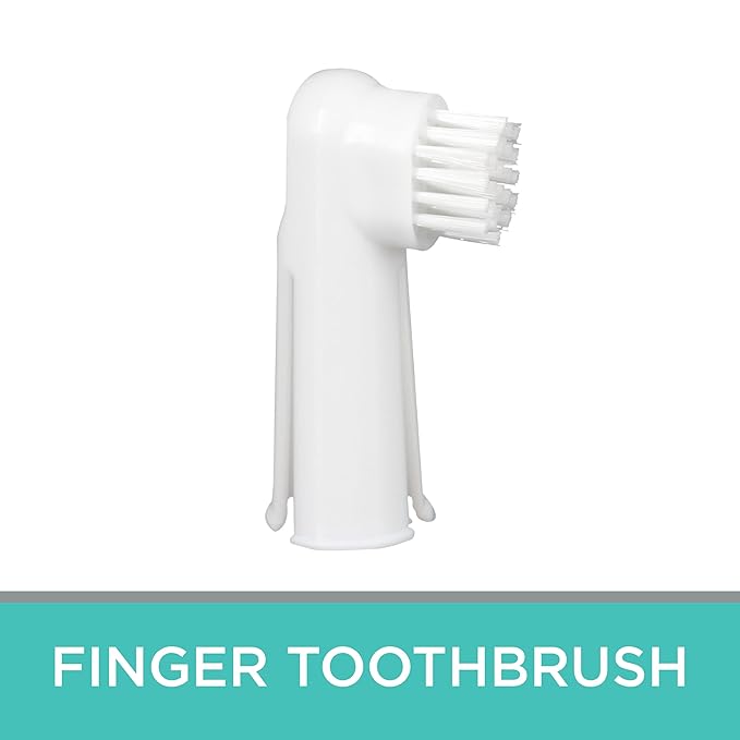 Groomer Essentials Finger Toothbrushes - 50 Count