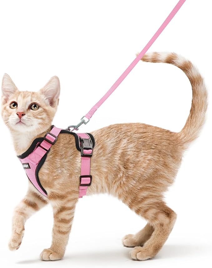 rabbitgoo Cat Harness and Leash Set, Escape Proof Vest Harness for Safe Outdoor Walks, Soft Breathable Adjustable Vest with Reflective Strips for Small and Average Cats, Pink, S