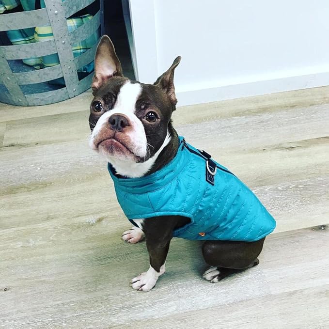 Gooby Puffer Vest - Turquoise, X-Small - Ultra Thin Zip Up Wind Breaker with Dual D Ring Leash - Water Resistant Small Dog Sweater Coat - Boy or Medium