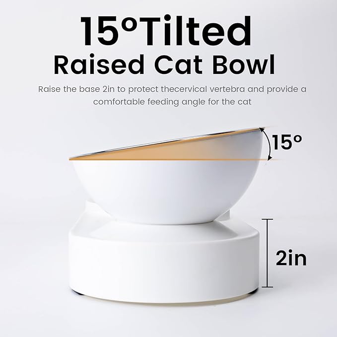 2 in 1 Elevated Dog Cat Bowls, 15°Tilted Pets Water and Food Bowl Set, Pet Feeding Bowls with Automatic Water Bottle and Feeding Mat for Kittens and Small Dogs, White