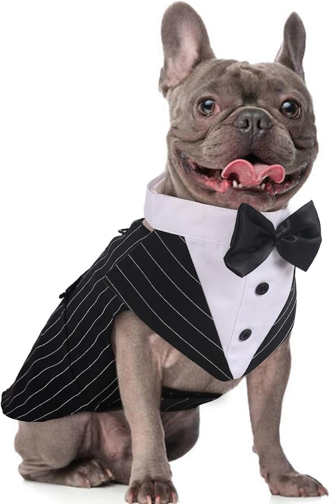 DORA BRIDAL Dog Tuxedo for Medium Dogs, Dog Suit and Bowtie, Formal Dogs Wedding Outfit, Pet Tuxedo and Bandana Set Valentines Birthday Costumes for French Bulldog, Pomeranian, Dachshund, Striped, M