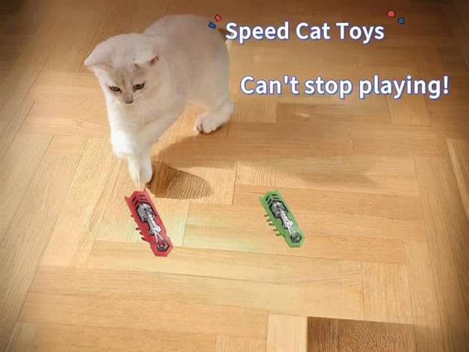 Cat Bug Toy Electric Moving Interactive Cat Toy for Indoor Cats Educational Cat Teaser Toy 2PCS Electronic Beetle Interactive Set for Indoor Cats Kitten Chase Exercise Battery Operated