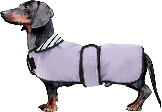 Dachshund Raincoat Corgi Raincoat Dogs Waterproof fit for Dachshunds Weiner Long Back Breeds with Reflective Stripe Great Coverage in Autumn Winter Purple L