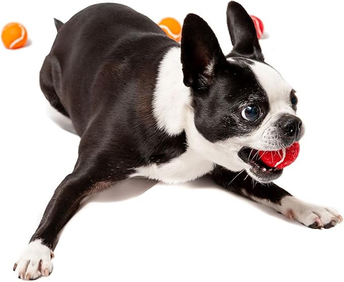 Midlee X-Small Dog Tennis Balls 1.5" Pack of 12 (Solid, 1.5 inch)