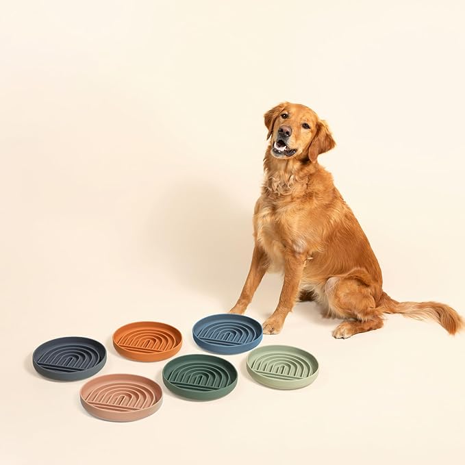 Should We Go? Slow Feeder for Dogs & Puppies, The Slowdown Bowl Silicone Slow Eating, Modern Lick Mat Design, Reduces Gulping, Fits 2.5 Cups, 9.5” Across x 1.5” Tall, Mealtime Challenge, Large-Sage