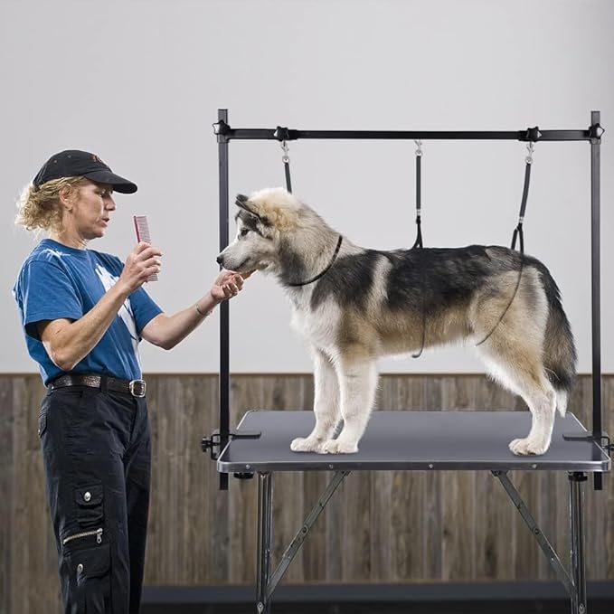 AGESISI H-Shape Dog Grooming Arm with Clamp, Heavy Duty Pet Grooming Table Arm with Loop Noose, 32" Height Adjustable and 34" - 50" Width Adjustable for Large & Medium & Small Pets, Black