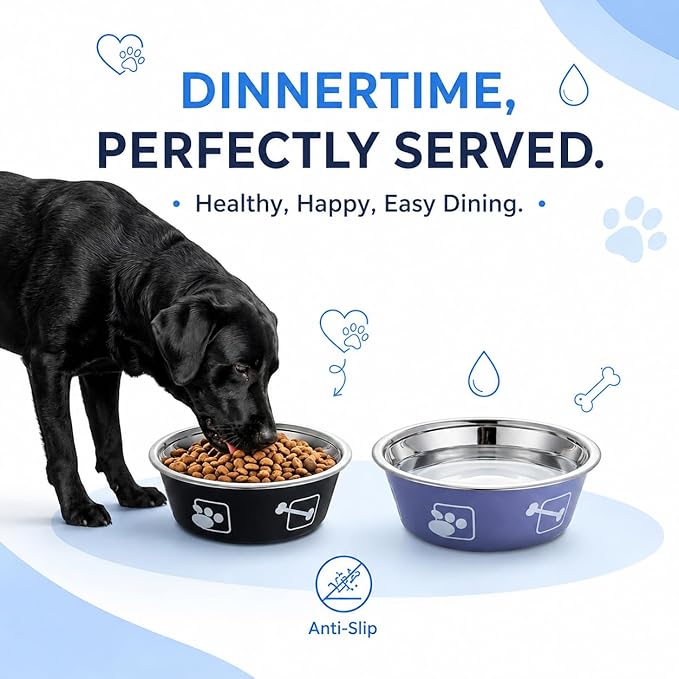 2-Pack Dog Bowls, Stainless Steel Pet Bowls, Thickened Rust-Proof Inner Bowl, Non-Slip Rubber Base, 2-in-1 Food & Water Bowl for Indoor Use (Black + Purple) (Black + Purple, S)
