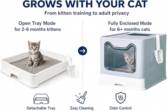 Medario Cat Litter Box with Litter Mat and Scoop, Large Covered Litter Box with Lid, Enclosed Kitty Box, Front Entry Top Exit, Odor Control, Easy to Clean (Blue)