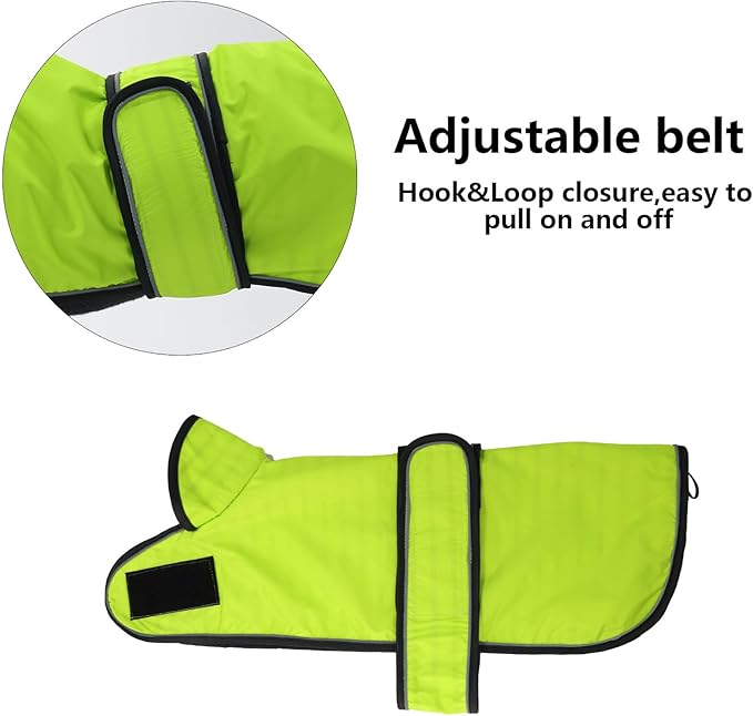 Dachshund Raincoat Corgi Raincoat Dogs Waterproof fit for Dachshunds Weiner Long Back Breeds with Reflective Stripe Great Coverage in Autumn Winter Light Green XS