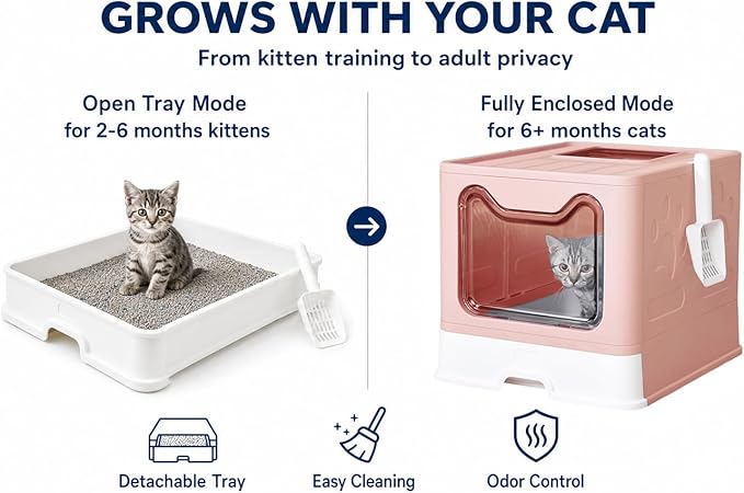 Medario Cat Litter Box with Litter Mat and Scoop, Large Covered Litter Box with Lid, Enclosed Kitty Box, Front Entry Top Exit, Odor Control, Easy to Clean (Pink)