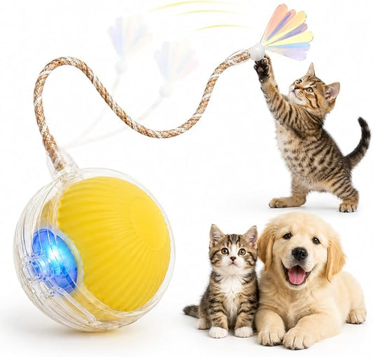 Interactive Cat Toy Ball with LED Lights – USB-C Rechargeable Automatic Cat Toy with Feather Tail for Indoor Cats & Kittens, Upgraded Version
