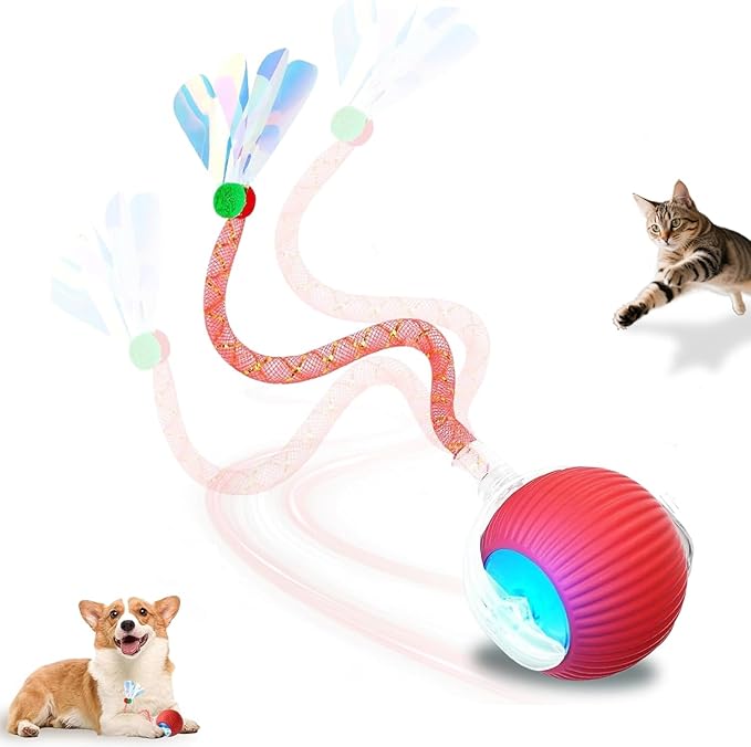 Interactive Cat Toys Ball for Indoor Cats＆Dogs,Automatic Cat Toy 360° Auto-Rotation Smart Obstacle Avoidance,Includes 4 Cat Spiral Spring,Cat Enrichment Toys for Indoor Cats (Red-1)