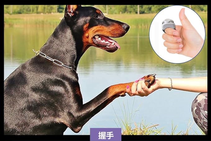 The Set of Easy Clicking Finger Ring Clicker Included Large and Small 2 Sizes,Dog clicker Trainer Suitable for Dogs Cats Horses traing Allowing Effective Versatile Training (2pcs Grey+Green)