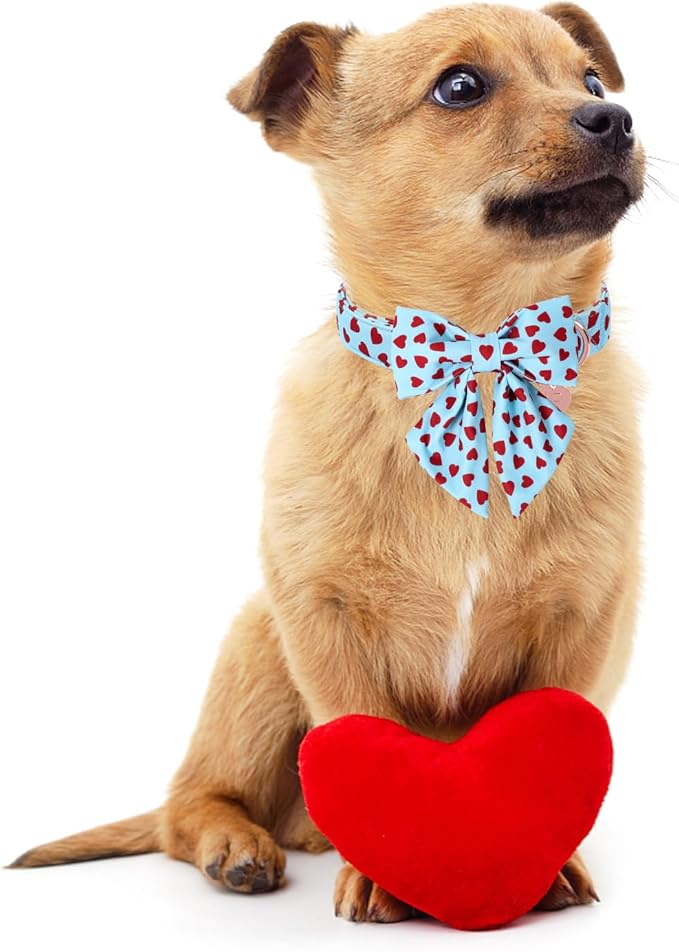 Valentine's Dog Collar & Bow Tie Set,UP URARA PUP Soft & Comfortable Pet Collar with Premium Plastic Buckle for Small, Medium, Large Dog,L