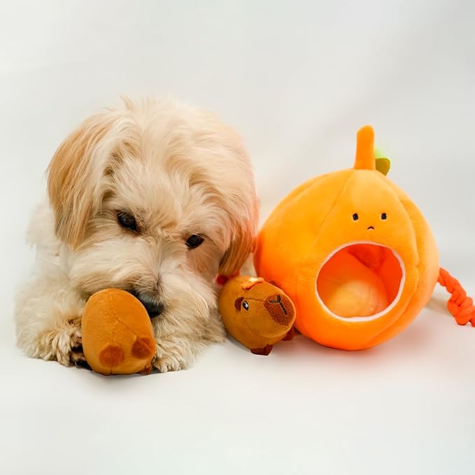 MewaJump Hide and Seek Small Dog Toys, Squeaky Dog Plush Toys for Small Dog, Pumpkin and Animal Crinkle Plush Stuffed Dog Toy, Small Puppy Cat Toy Set to Keep Them Busy