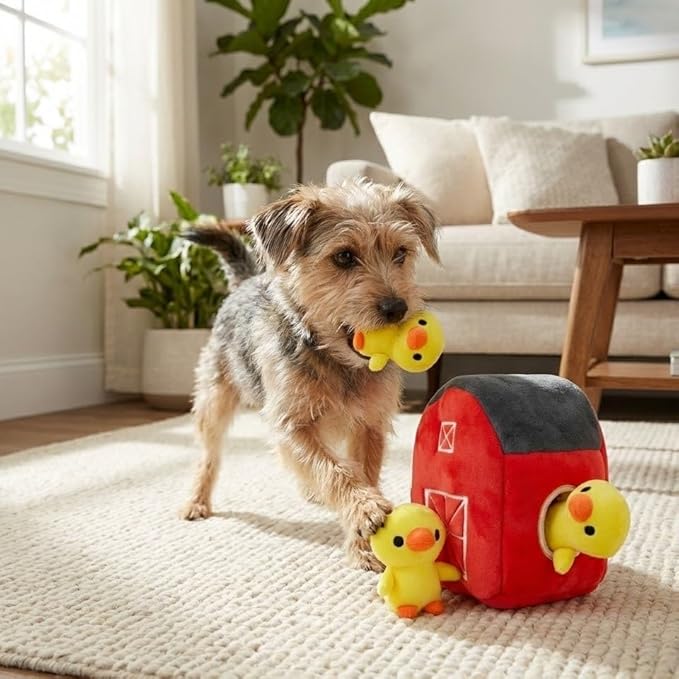 MODERN WAVE - Interactive Squeaky Plush Hide and Seek Squirrel Type Puzzle Toy for Dogs, Medium/Large Size (Farm and Ducks)