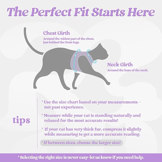 rabbitgoo Cat Harness and Leash, Step-in Escape Proof Kitten Harness Set, Soft Comfortable Cat Vest, Easy to Wear and Adjust, Reflective for Safe Outdoor Walking, Light Purple, Large