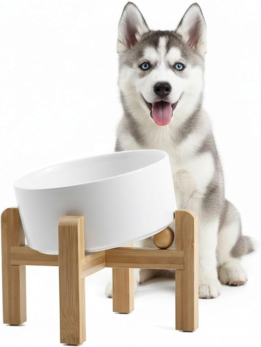 hjn Elevated Ceramic Dog Bowl 15°Slanted Raised Dog Bowl with Bamboo Stand for Small Medium Dogs and Cats, Pet Feeder -3.6-Cup (850ml)-White