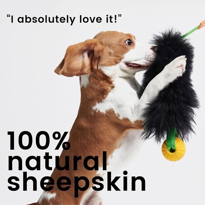HOWGO Dog Rope Toy,Dog Bungee Chaser Toy 100% Sheepskin,Sheep Smell Tug Toy for All Breeds(Green, Long Without Ball)
