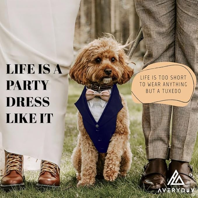AVERYDAY Dog Tuxedo For Wedding Outfit, Aesthetic Dog Suit and Tie for Birthday, Halloween, Cosplay, Christmas Party, Formal Wear Dog Costumes with Bowtie, Dog Tuxedo for Small Dogs to Large Dogs Male